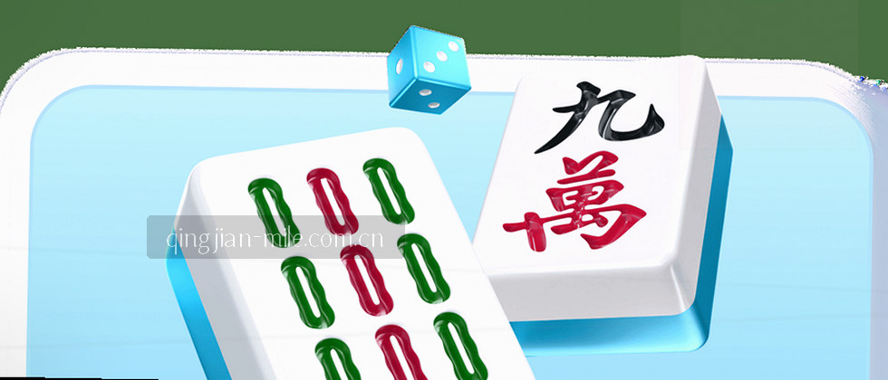 隐私保护 数据安全防线
